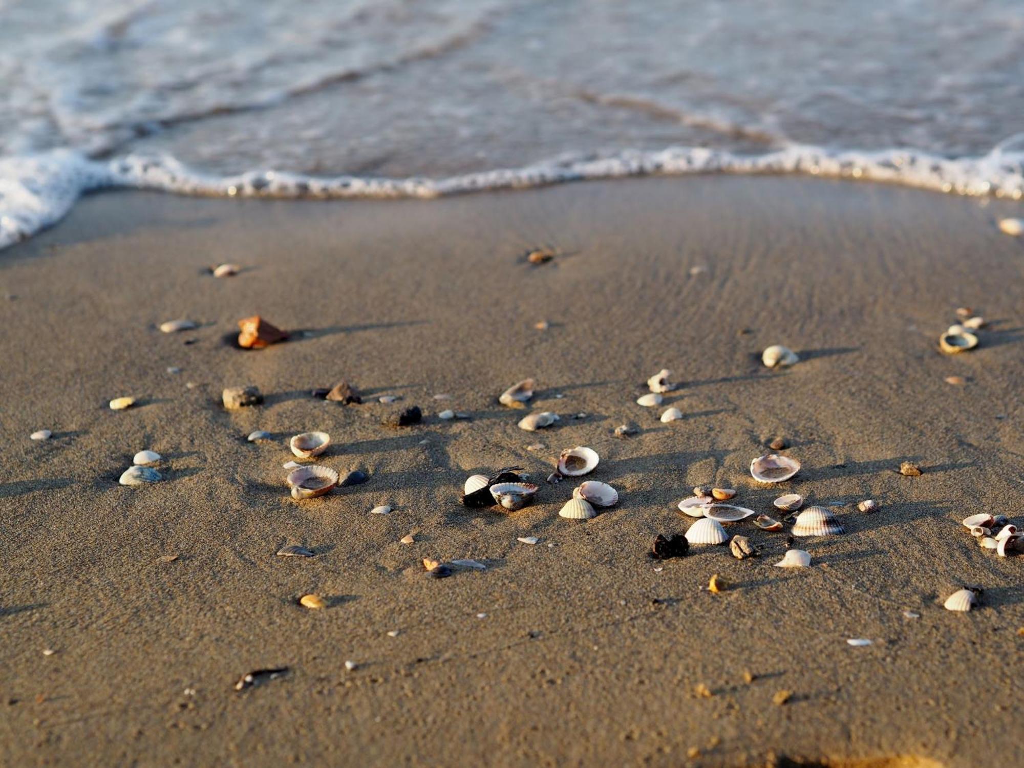 A Few Steps From The Apartment Bibione